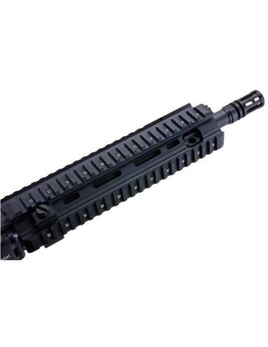 416 GUN MODIFY MWS NOIR