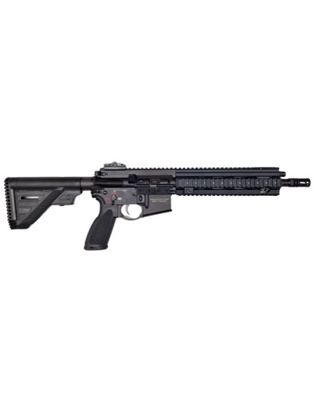 416 GUN MODIFY MWS NOIR