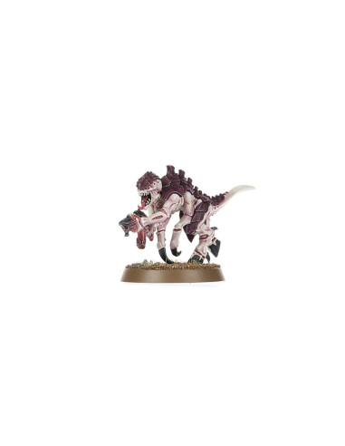 INTRODUCTION SET WARHAMMER 40K ANGLAIS