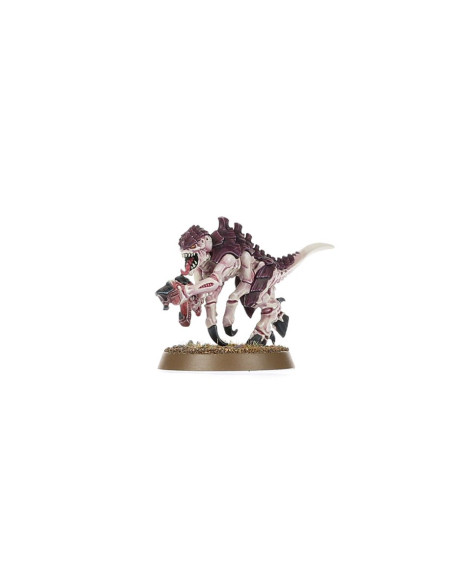 INTRODUCTION SET WARHAMMER 40K ANGLAIS